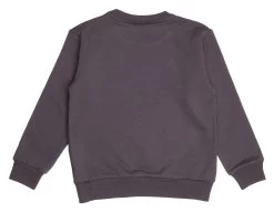 Walkiddy Sweatshirt Katze Playful Cat Anthrazit 5 Walkiddy Sweatshirt Katze Playful Cat Anthrazit -Kindermode – Einfach machen. Walkiddy CT21 501 2 1280x1280