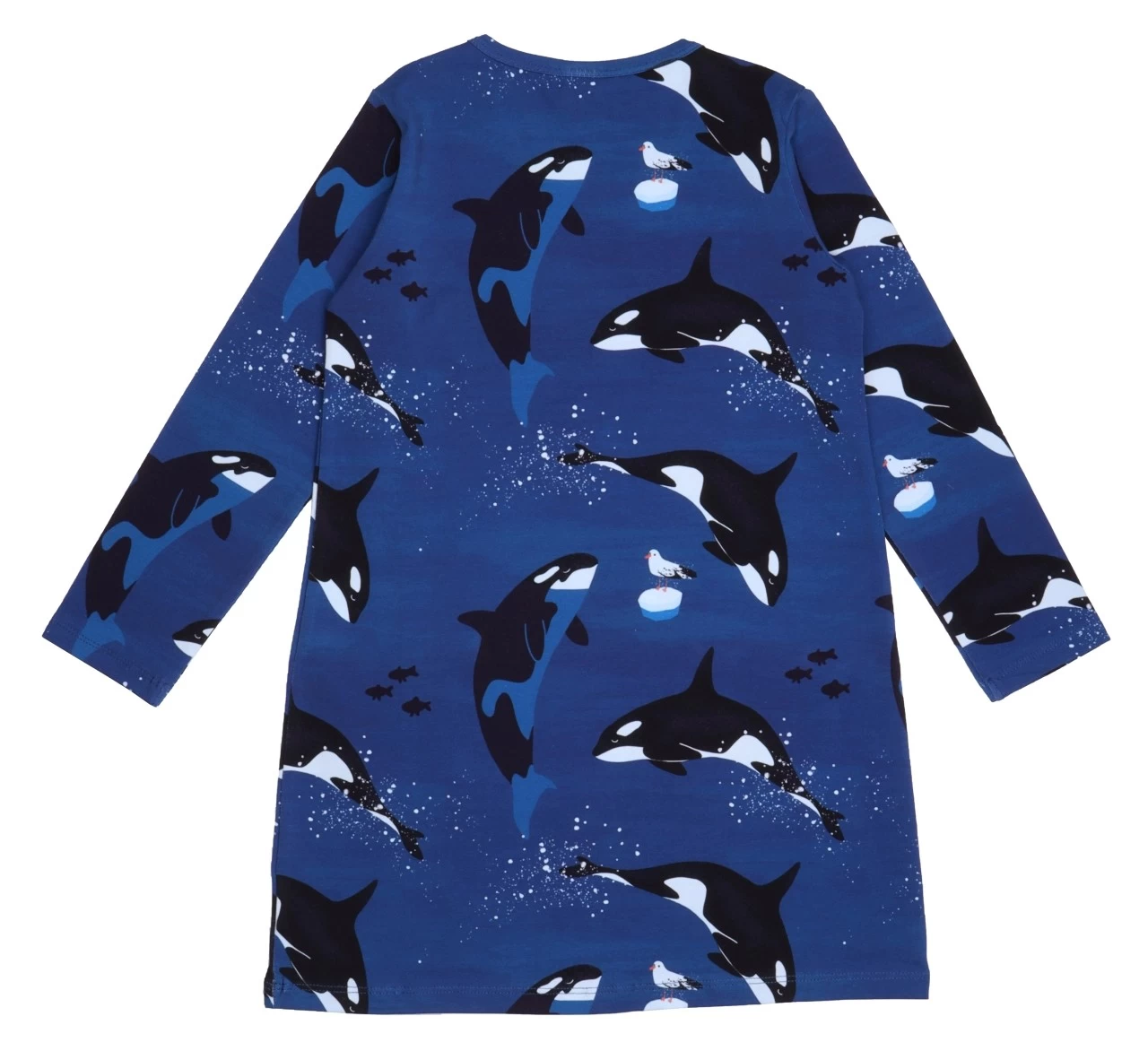 Walkiddy Tunika Playful Orcas Blau Biobaumwolle GOTS 4 Walkiddy Tunika Playful Orcas Blau Biobaumwolle GOTS – Bild 2