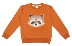 Walkiddy Sweatshirt Curious Raccoon Kürbis