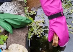 Rainkids Matschhandschuhe Ungefüttert Buddelfäustlinge Für Waldkinder -Kindermode – Einfach machen. kinder matschhandschuhe rainkids 1280x1280 2