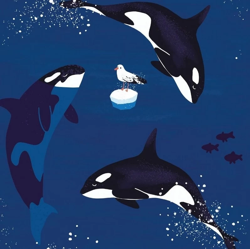 Walkiddy Kapuzenjacke Orcas Meerblau Sweatjacke 5 Walkiddy Kapuzenjacke Orcas Meerblau Sweatjacke – Bild 3